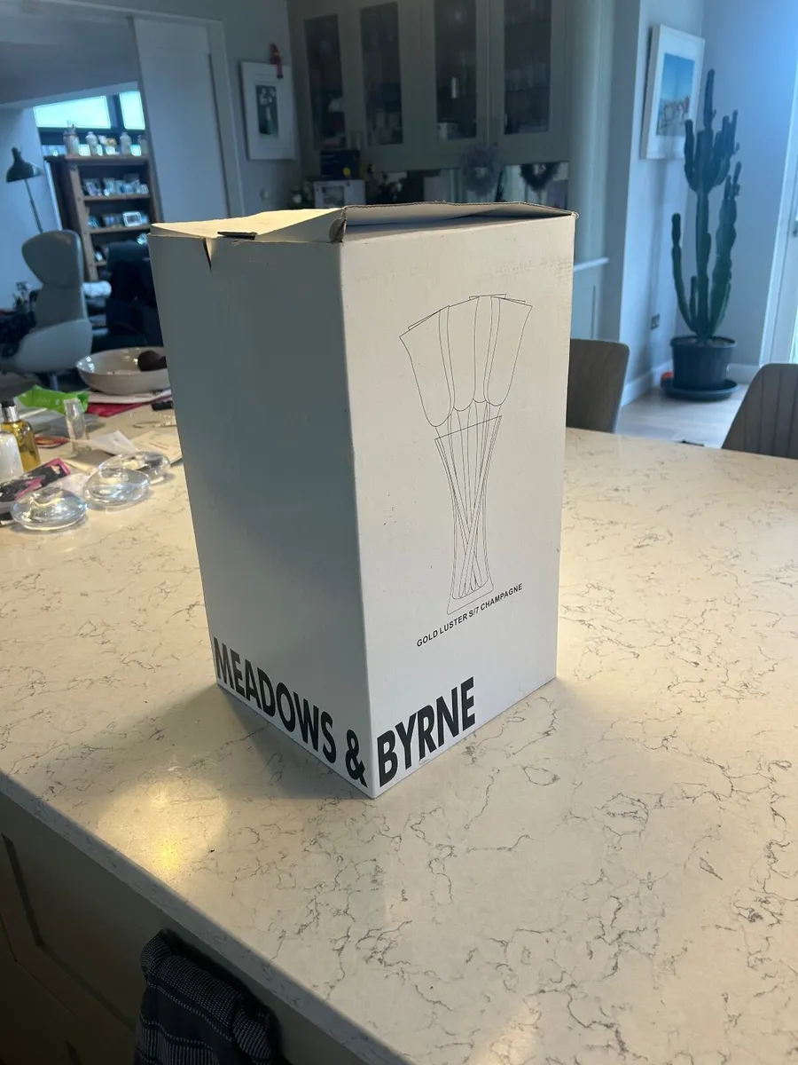 Champagne Flutes/Glasses Vintage - Image 4