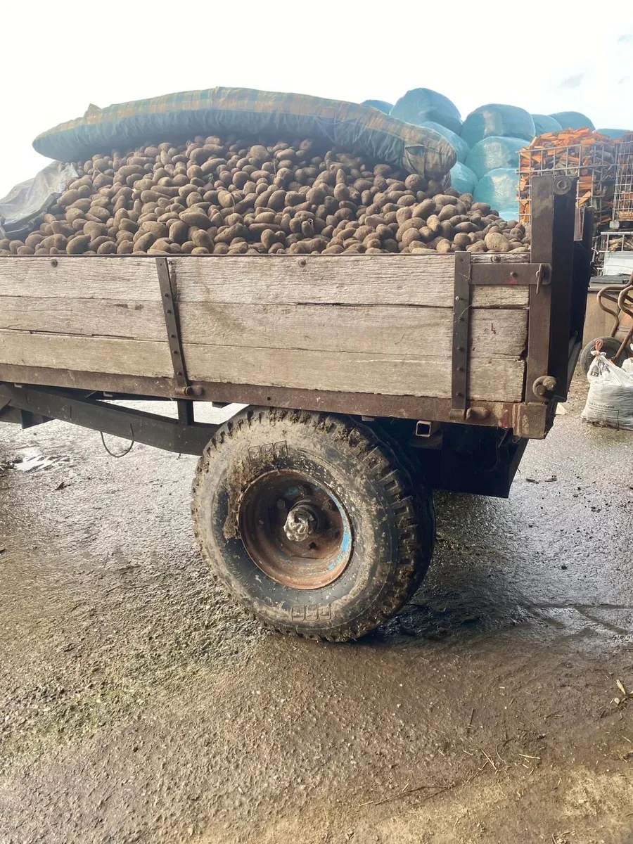 For sale trailers 10x 6 - Image 4