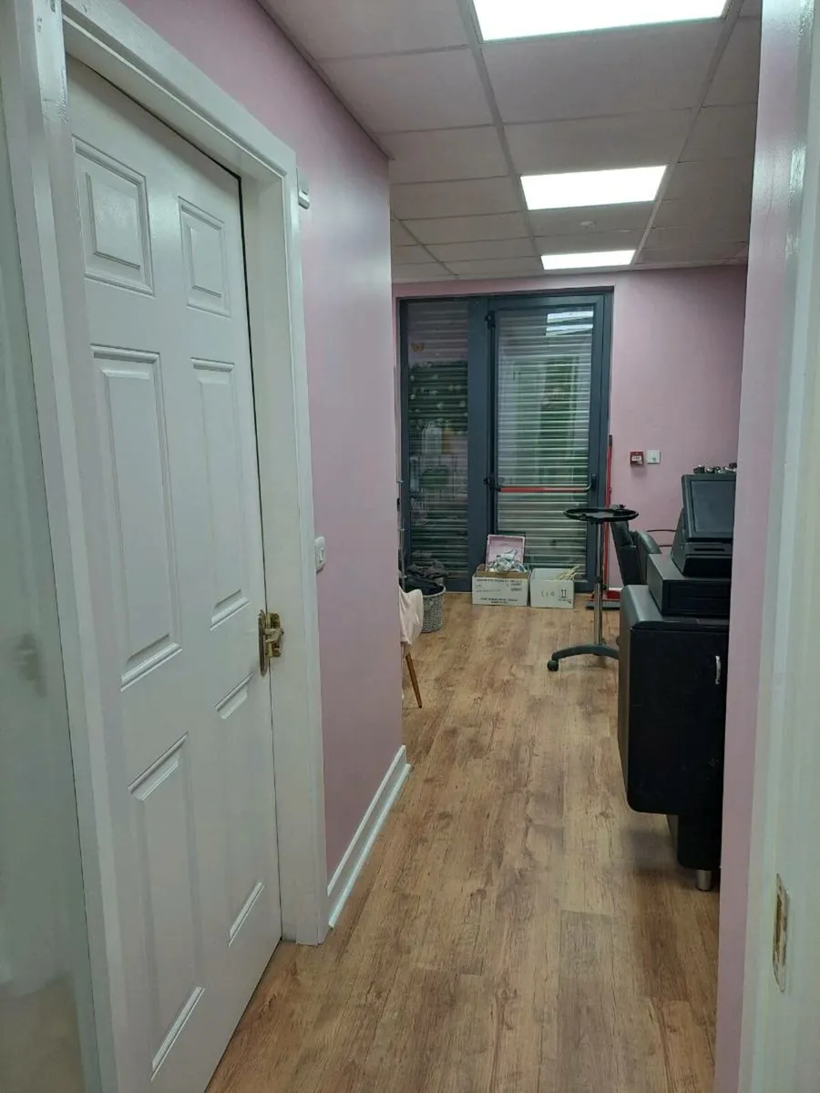 Painter available Waterford city and county - Image 3