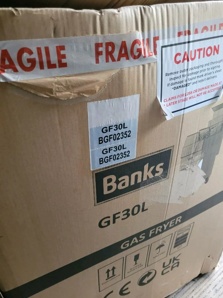 Brand New Banks Lpg Fryer - Image 4