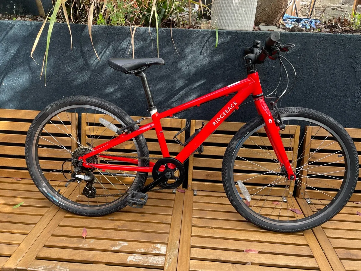 Ridgeback Dimension 24 - Image 2