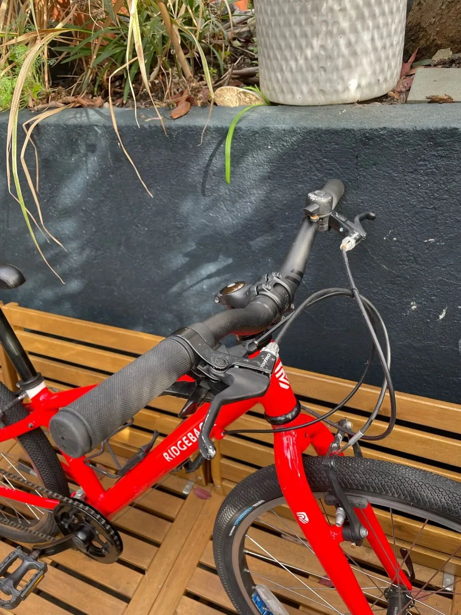 Ridgeback Dimension 24 - Image 4