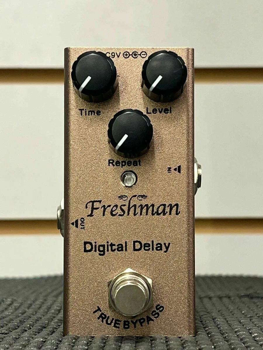 Delay Pedal - Image 2