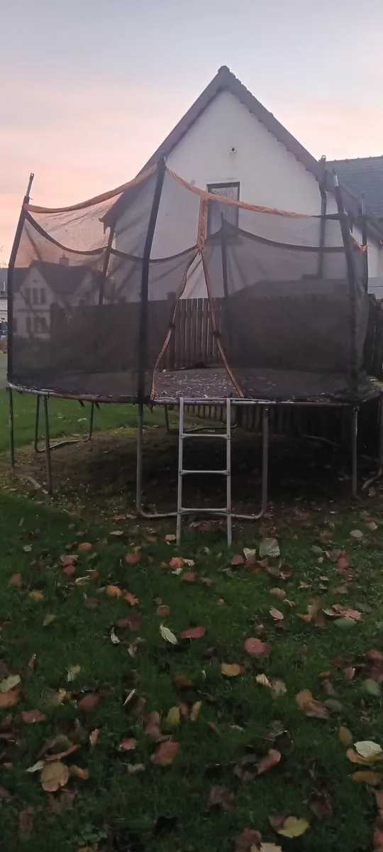 Trampoline and football goals FREE - Image 2