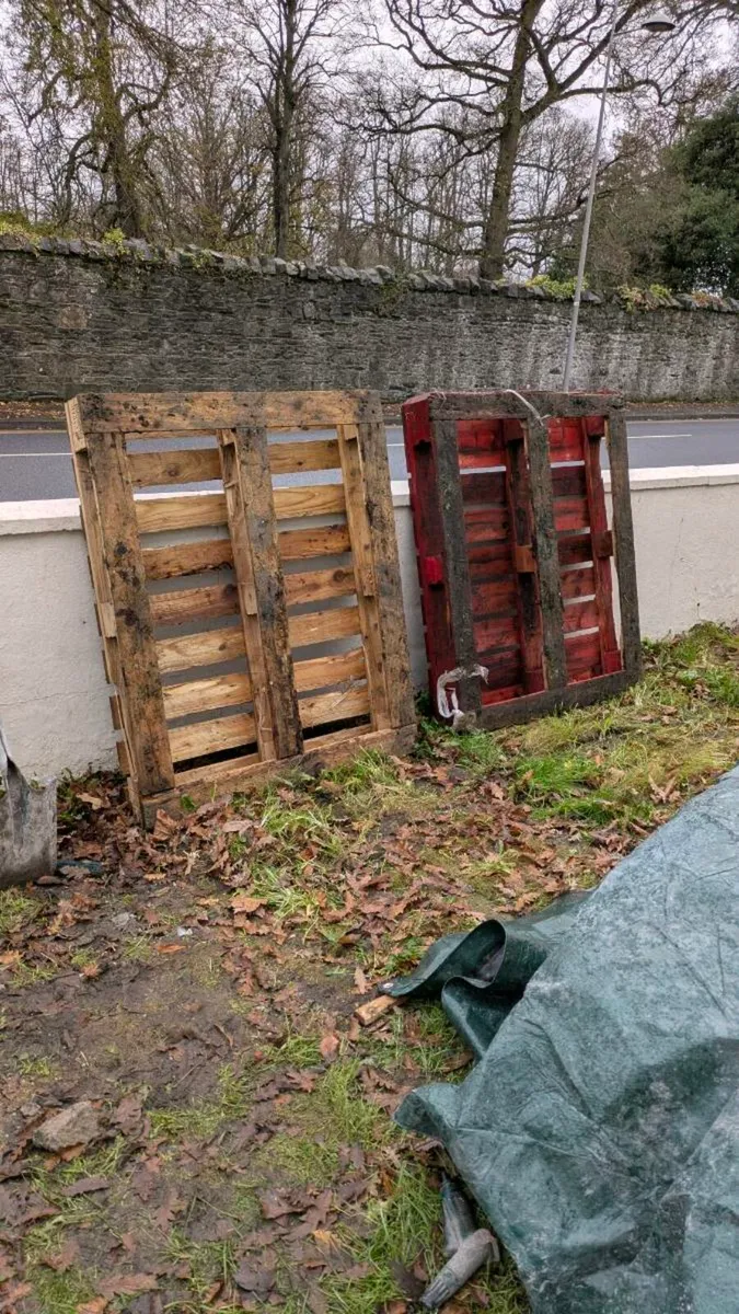 Pallets - Image 1