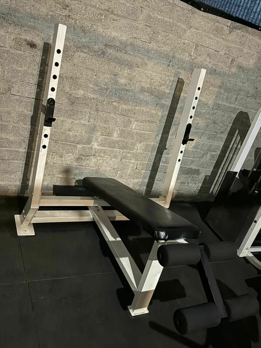 Decline Bench Press (Fixed Bench) - Image 1