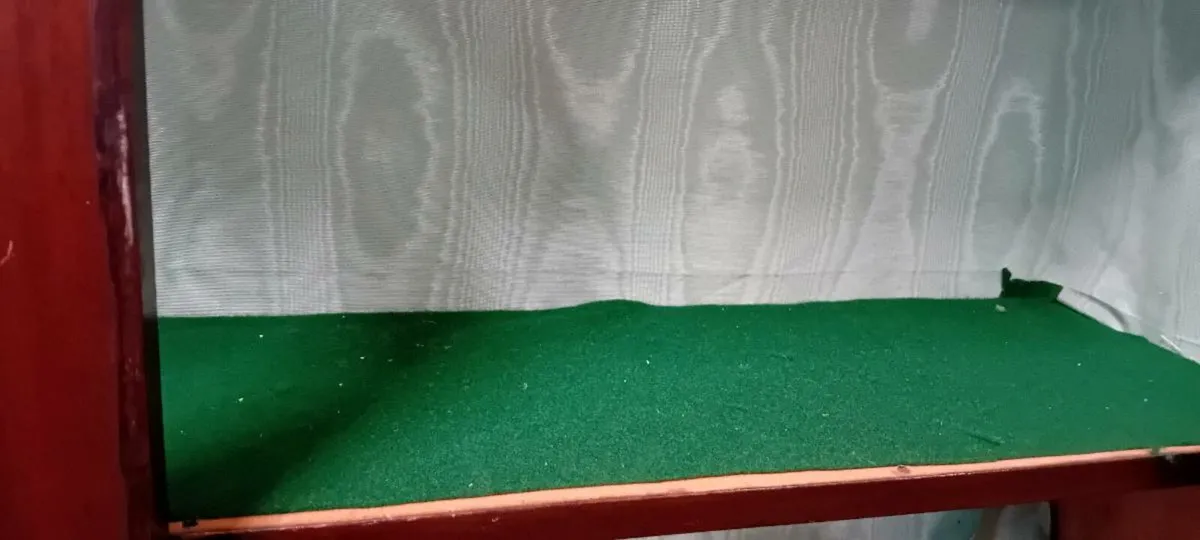 Victorian Glazed Mahogany Bookcase - Image 4