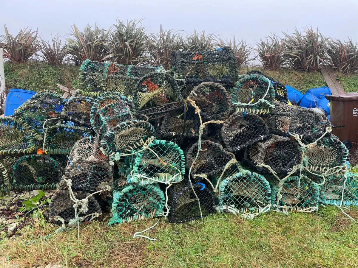 Lobster pots - Image 2