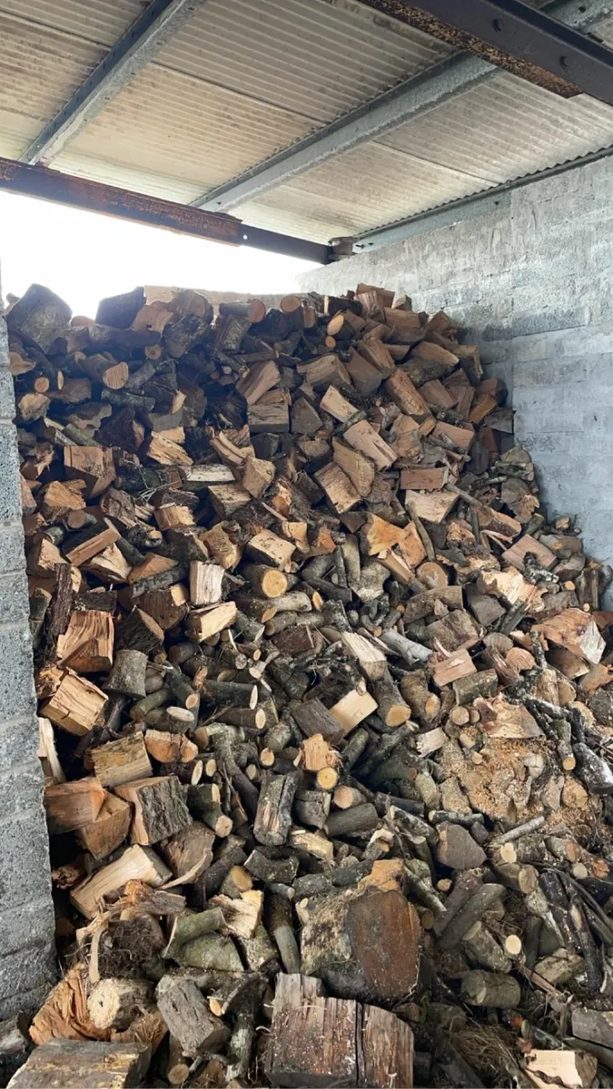 Firewood - Image 1