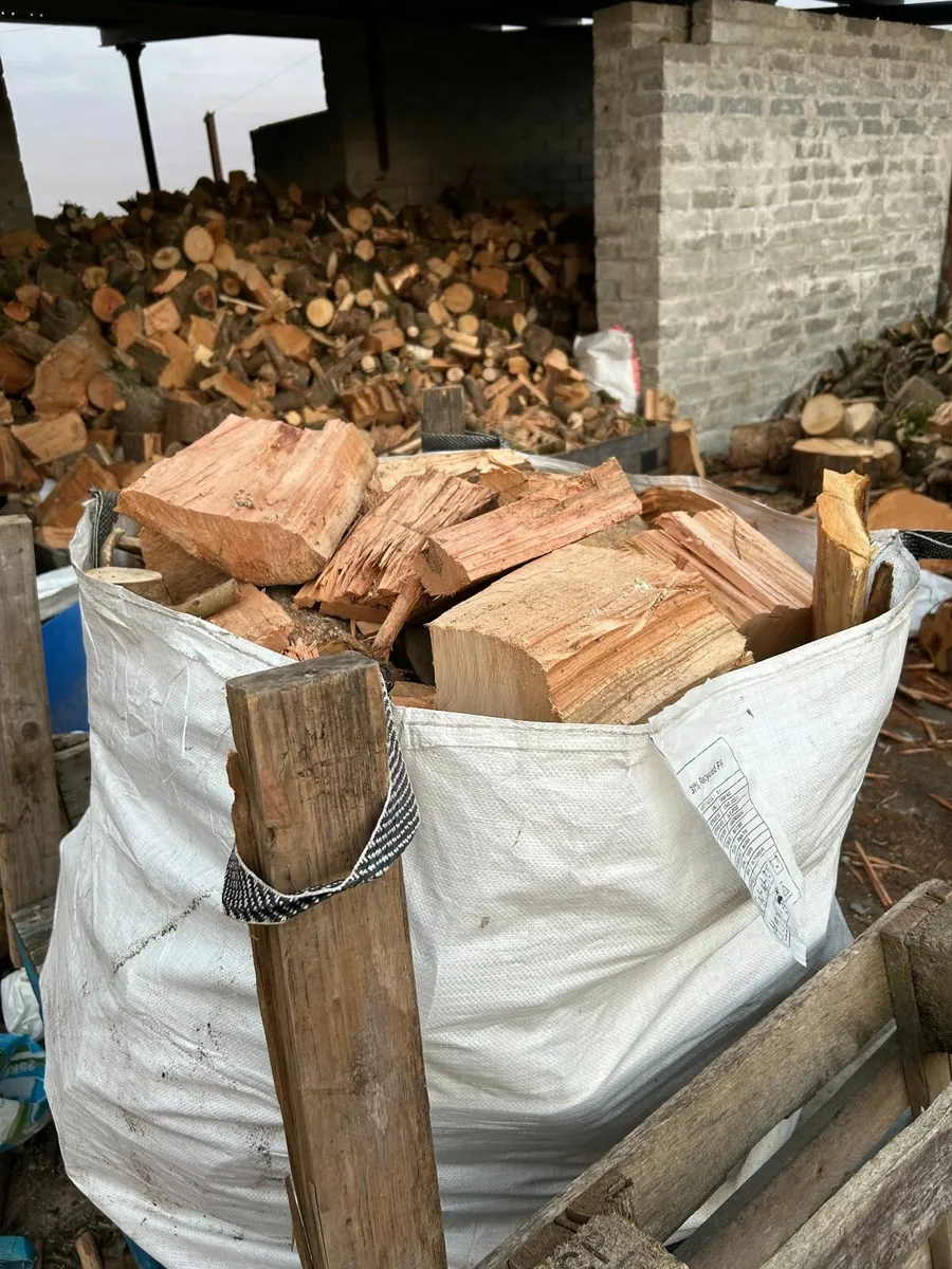 Firewood - Image 2