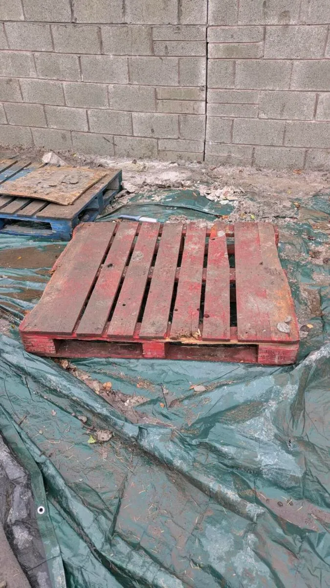 Pallets - Image 3