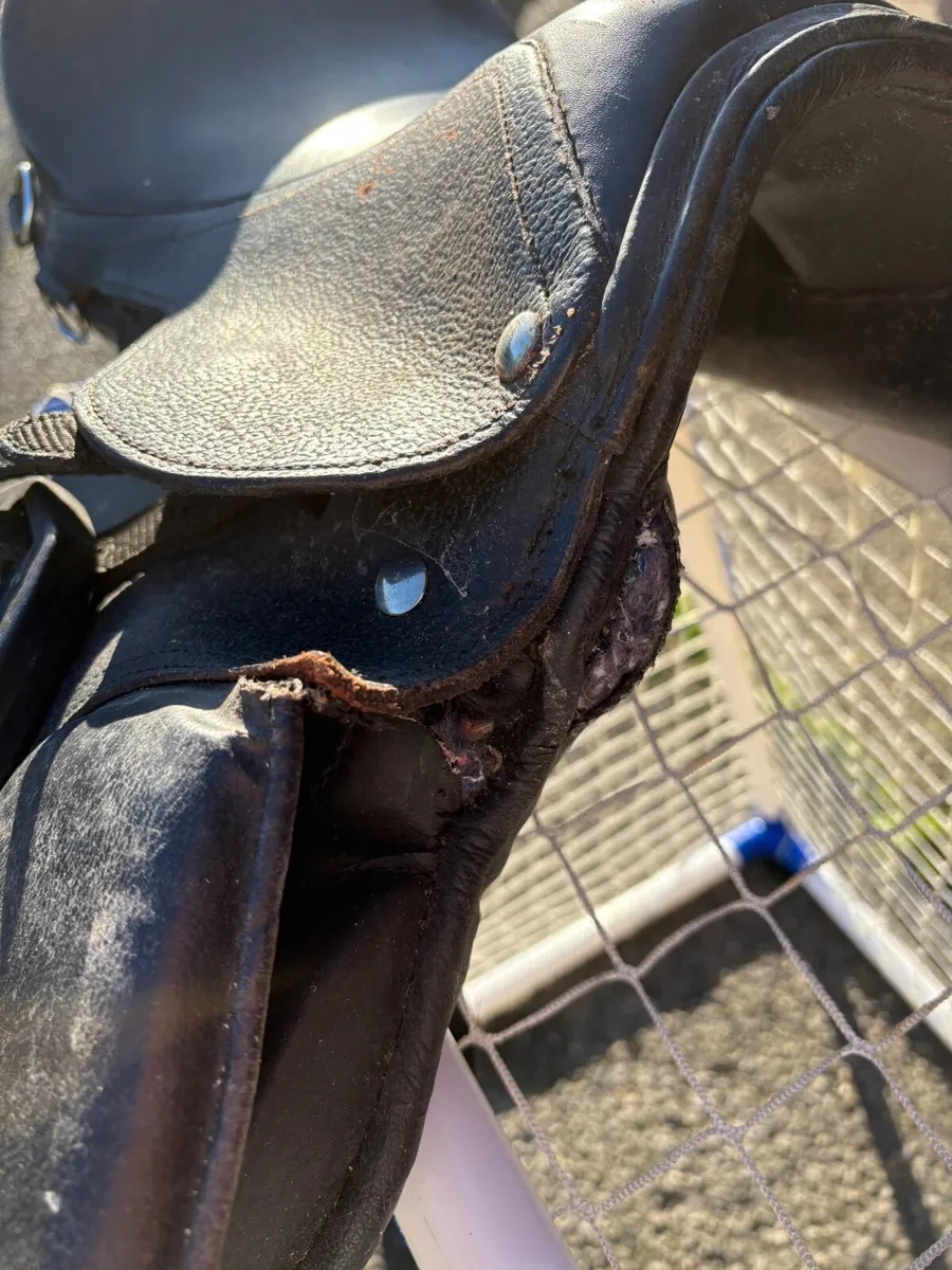 Pony Saddle and Bridle - Image 2
