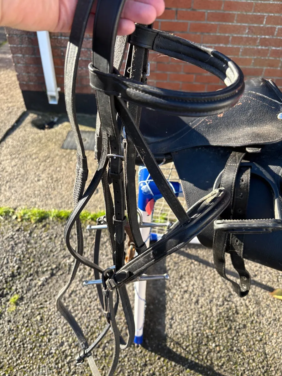 Pony Saddle and Bridle - Image 3