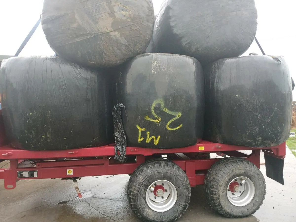 Silage bales - Image 2