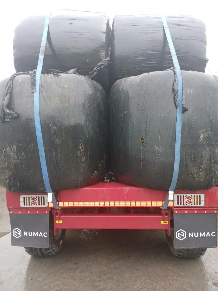 Silage bales - Image 3