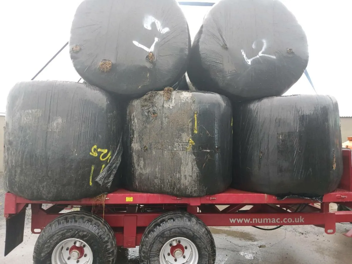Silage bales - Image 4