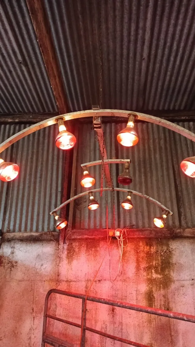 Lamp Solarium - Image 3