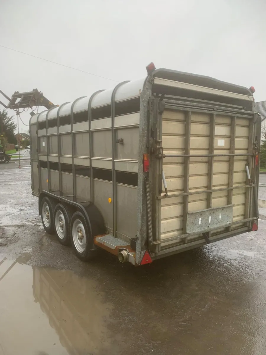 Ifor Williams 14ft cattle trailer - Image 3