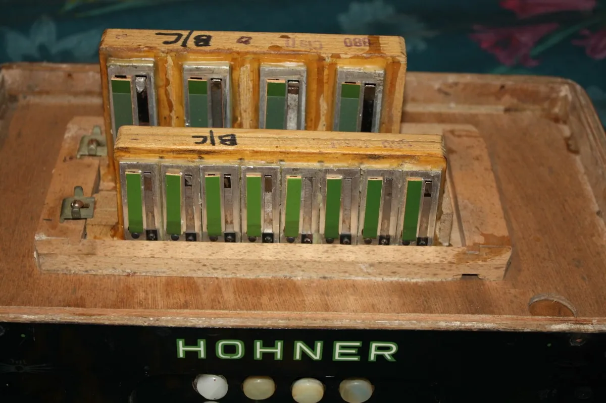 Button Accordion - Image 3