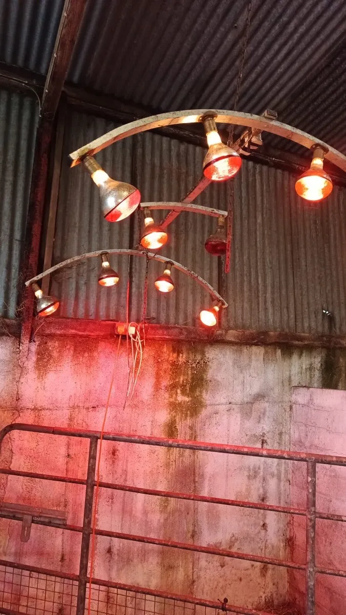 Lamp Solarium - Image 1