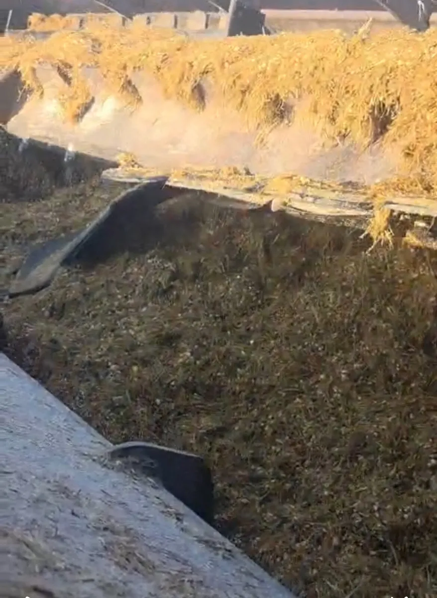 Keenan diet feeder - Image 3