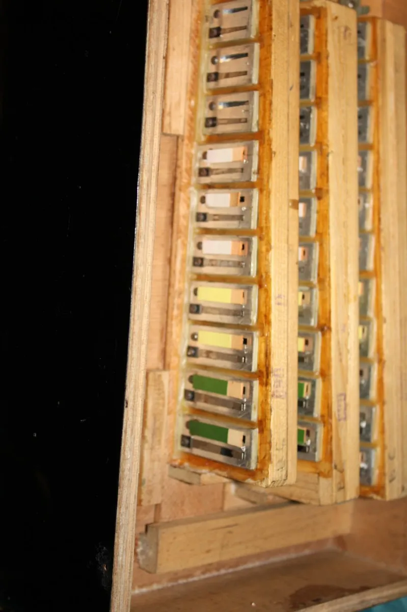 Button Accordion - Image 4