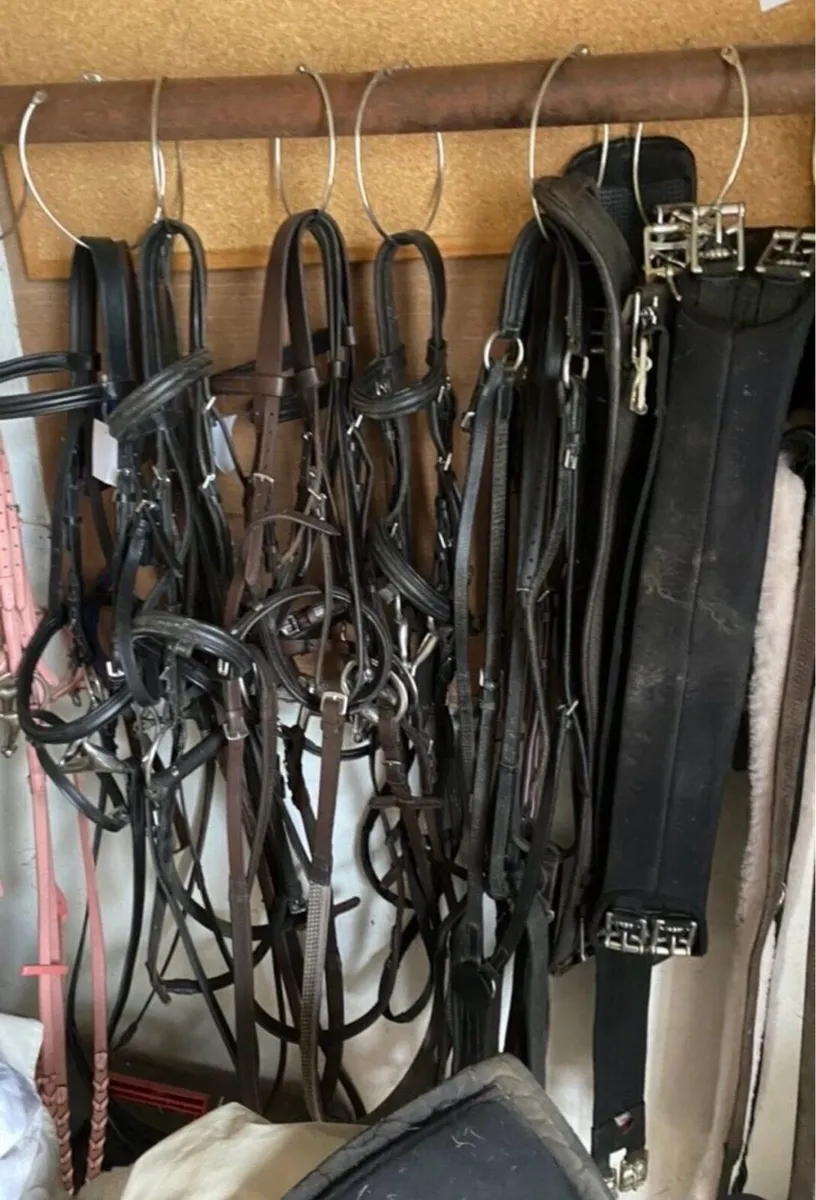 TACK, RUGS & EQUESTRIAN ACCESSORIES - Image 1