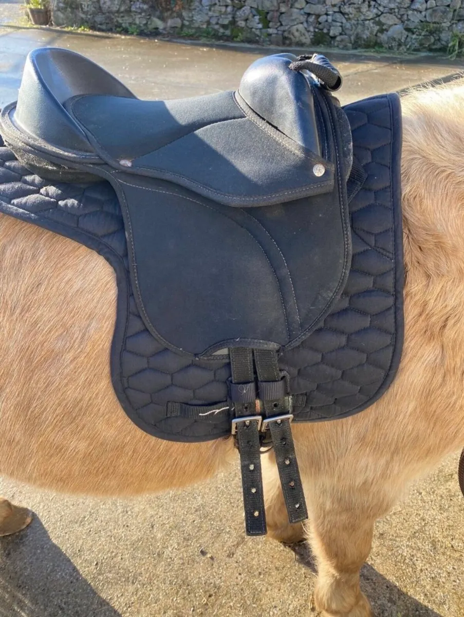 TACK, RUGS & EQUESTRIAN ACCESSORIES - Image 3