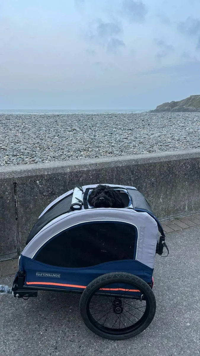 Bike trailer for Dog - Image 1