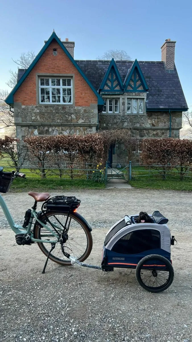 Bike trailer for Dog - Image 3