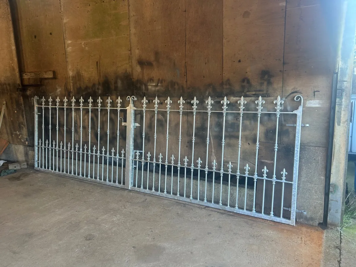 New Entrance Gates - Image 1