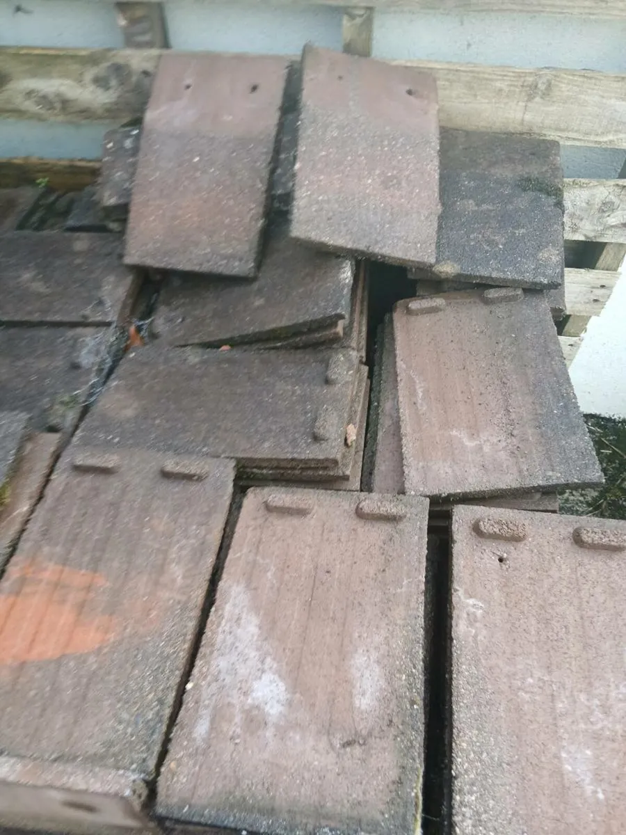 Free 6,"1/2 inch ×10"1/2 inch Roof Tiles - Image 3