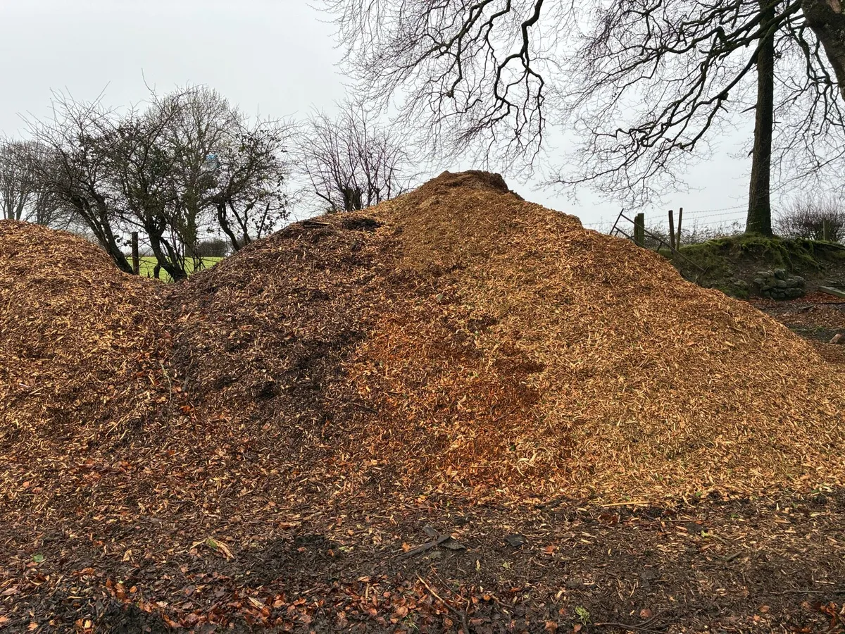 Wood chip woodchip - Image 1
