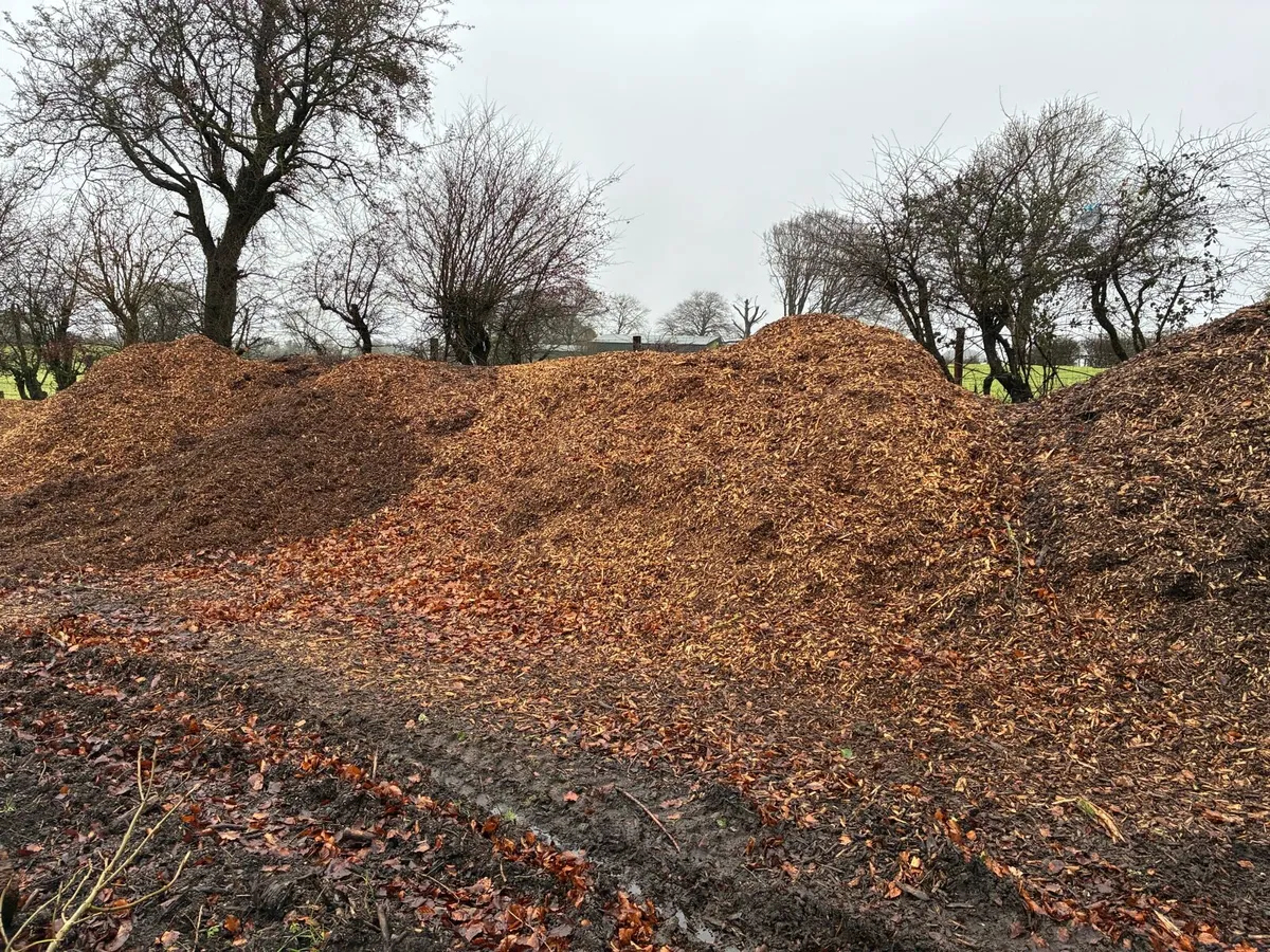 Wood chip woodchip - Image 2