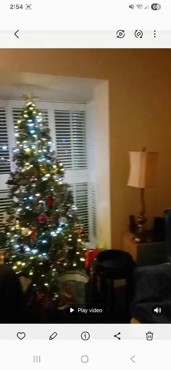 christmas tree - Image 2