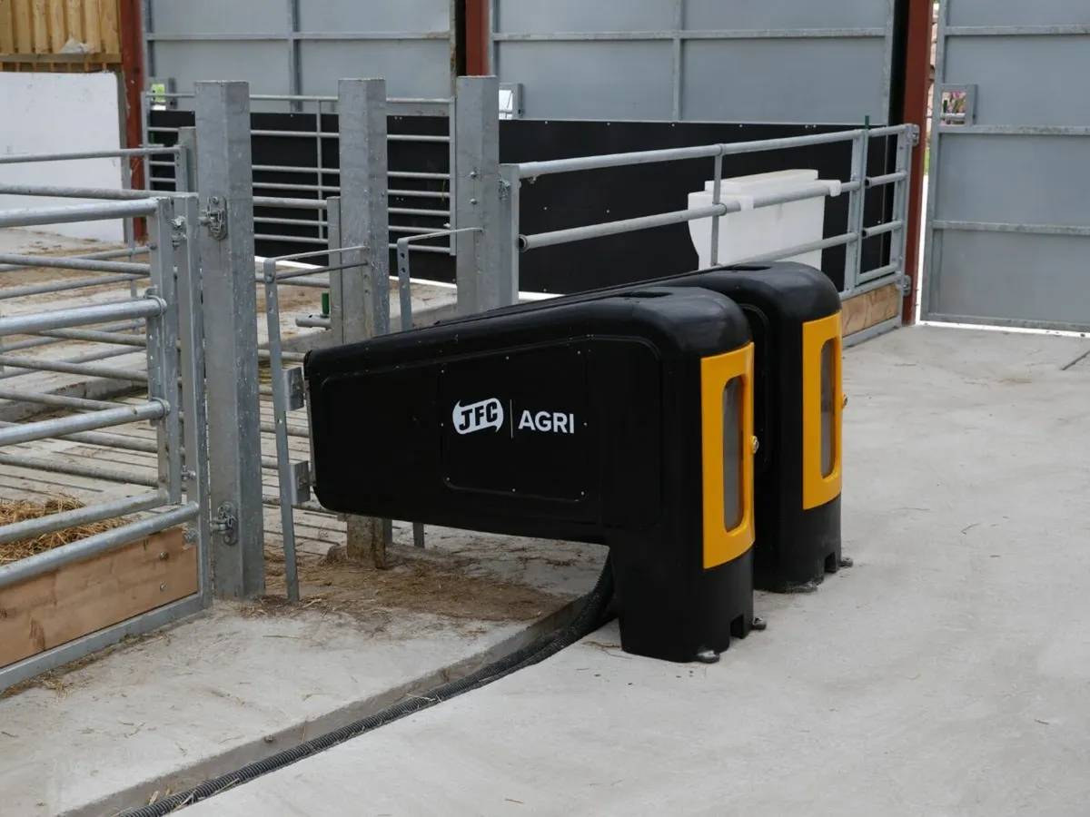 Automatic Calf Feeding - Image 2