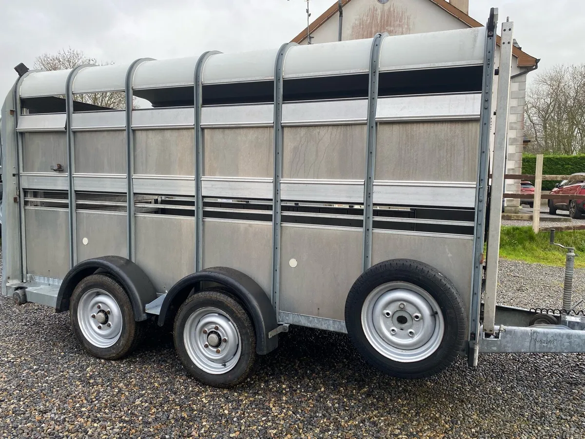 Iforwilliams 12x5”10 cattle box - Image 1