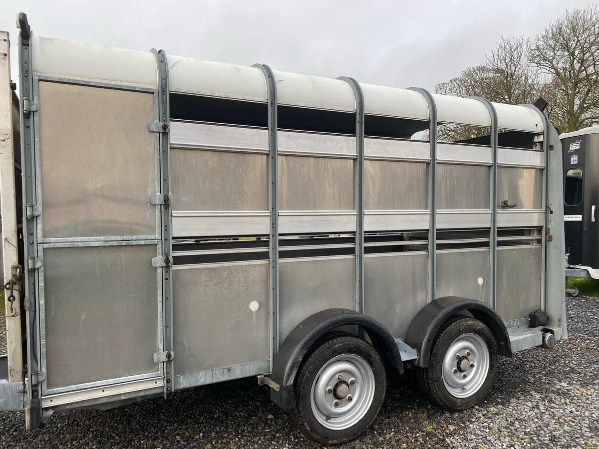 Iforwilliams 12x5”10 cattle box - Image 2