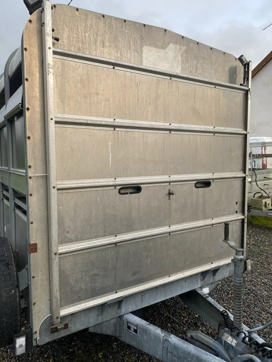 Iforwilliams 12x5”10 cattle box - Image 3