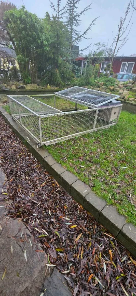 Angora rabbits and hutch - Image 4