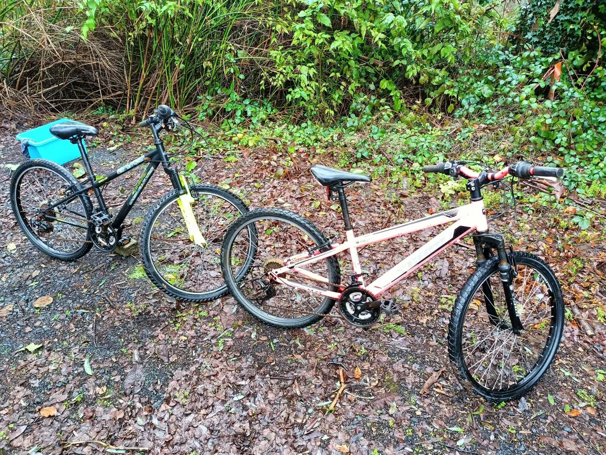 Two 24" bicycles