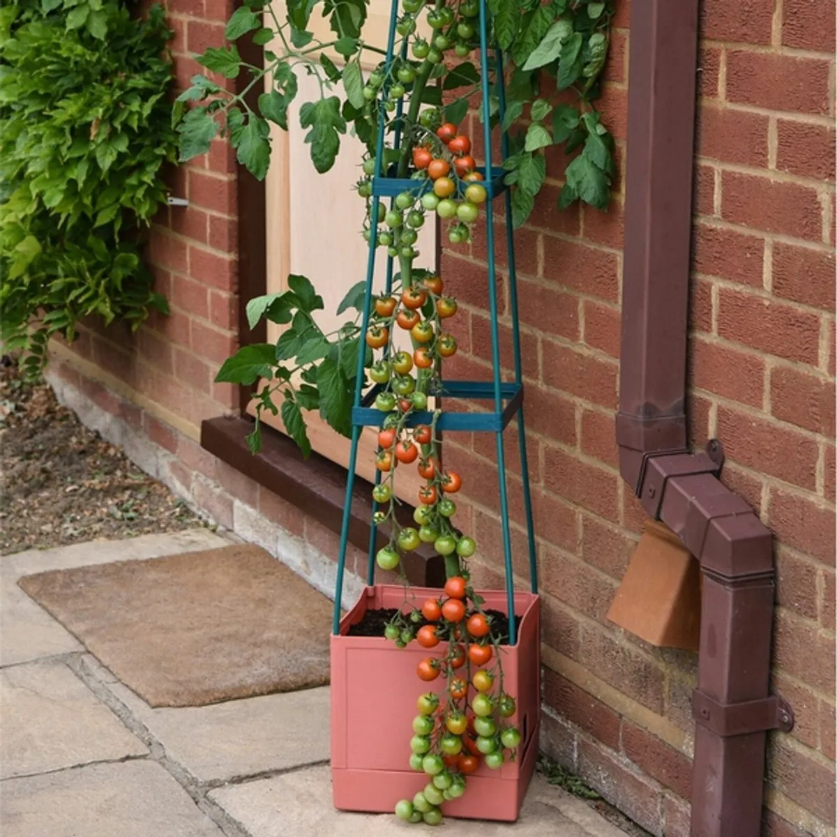 Garden Grow Self Watering 4 Tier Tomato Tower - Image 1