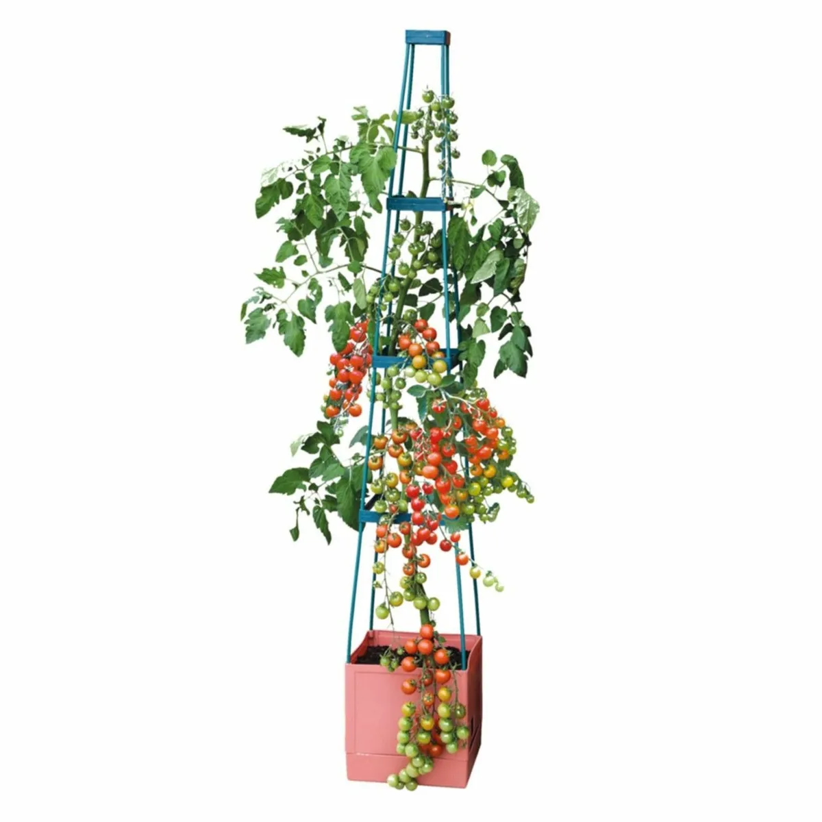 Garden Grow Self Watering 4 Tier Tomato Tower - Image 3
