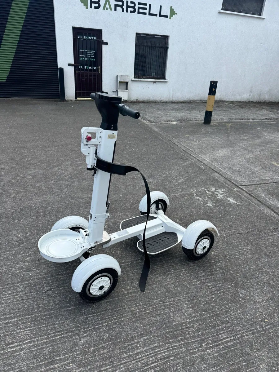 Golf Skater - Image 1