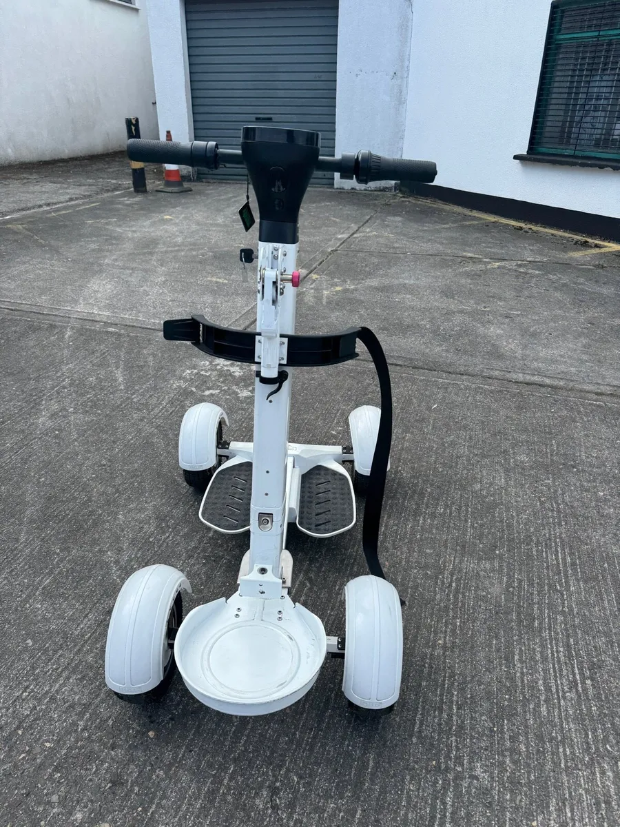 Golf Skater - Image 2