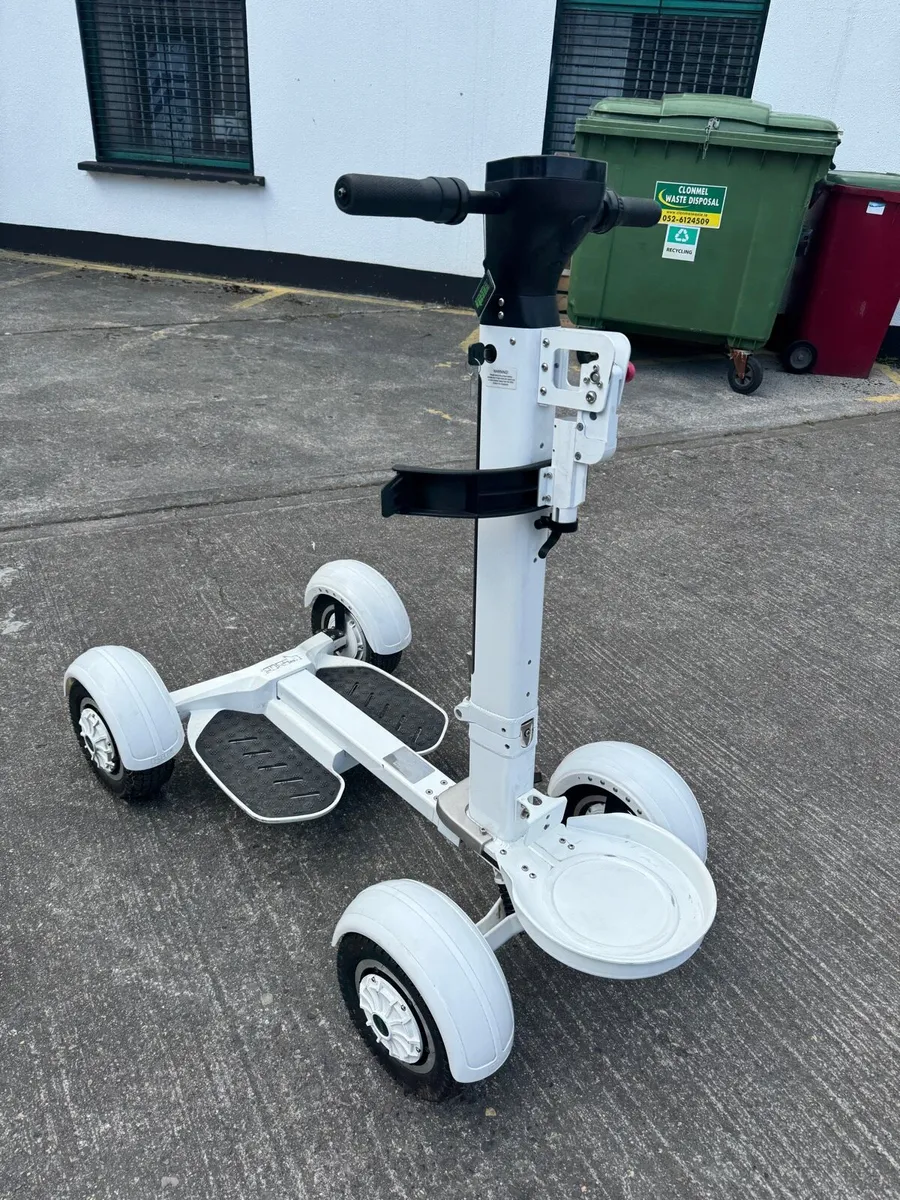 Golf Skater - Image 3