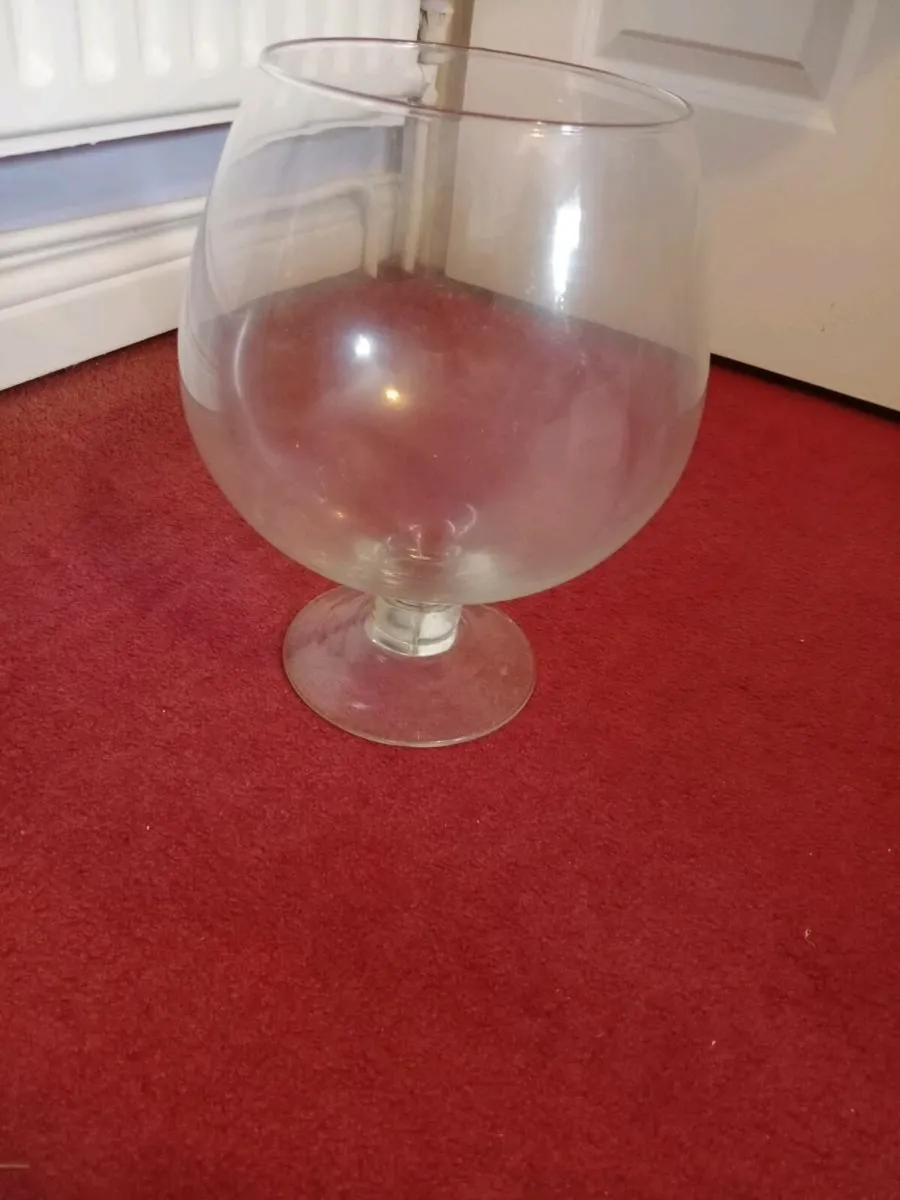 Large display Brandy glass - Image 2