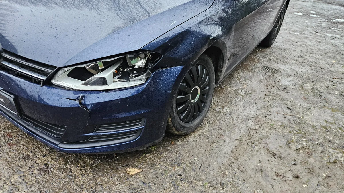 Vw Golf 1.6 TDI 110HP BLUEMOTION - Image 3