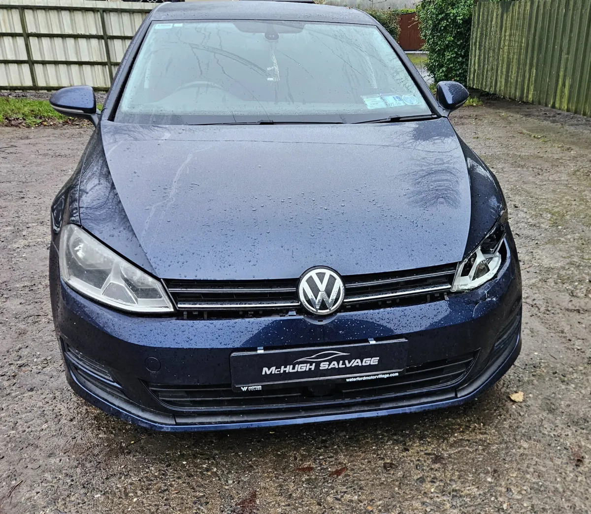 Vw Golf 1.6 TDI 110HP BLUEMOTION - Image 2