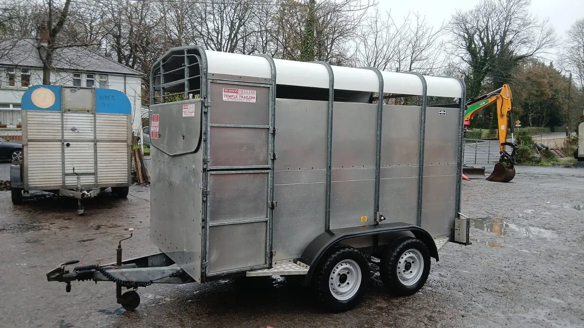10ft Hudson Cattle Trailer - Image 3